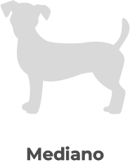 Mediano