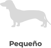Pequeño