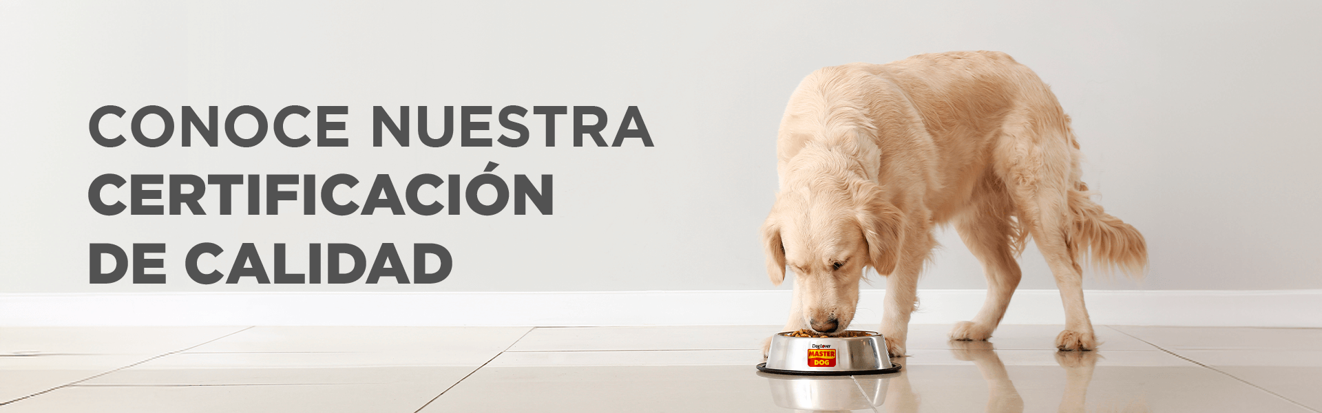 Conoce nuestra certificación de calidad - Master Dog